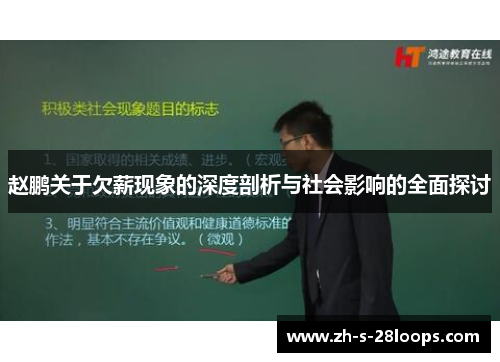 赵鹏关于欠薪现象的深度剖析与社会影响的全面探讨